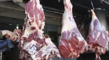 أسعار اللحوم اليوم الجمعة مستقرة ومتوفرة في الأسواق والمستودعات الزراعية